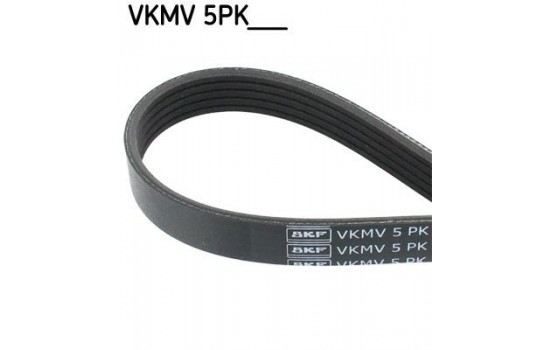 V-Ribbed Belts