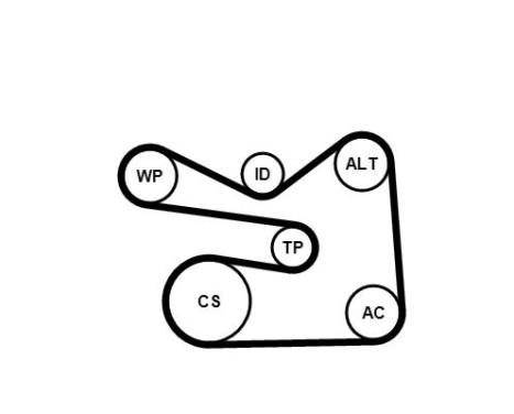 Water Pump + V-Ribbed Belt Set 6PK1733WP3 Contitech, Image 3