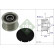 Alternator Freewheel Clutch 535001610 Ina