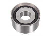 Deflection/Guide Pulley, timing belt 11904 FEBI