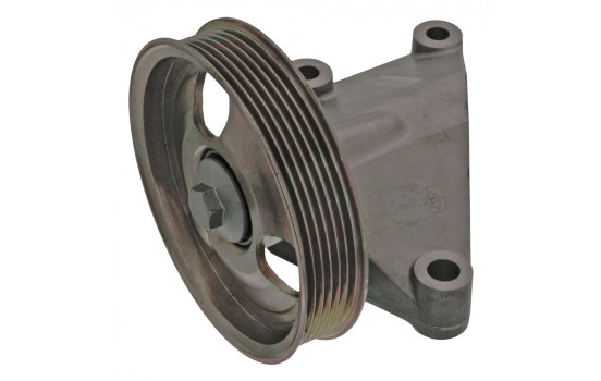 Deflection/Guide Pulley, v-ribbed belt 100173 FEBI