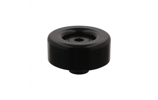 Deflection/Guide Pulley, v-ribbed belt 34534 FEBI