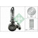 Tensioner Lever, v-ribbed belt 533008530 Ina