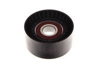 Tensioner Lever, v-ribbed belt