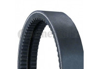 Banded V-Belts 2/13 X 1450 Contitech