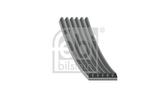 Multi-belt 177987 FEBI