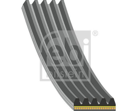 Multi-belt 181286 FEBI