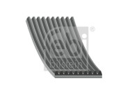Multi-belt 45438 FEBI