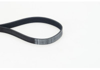 Multi-belt 7PK1051 ELAST Contitech