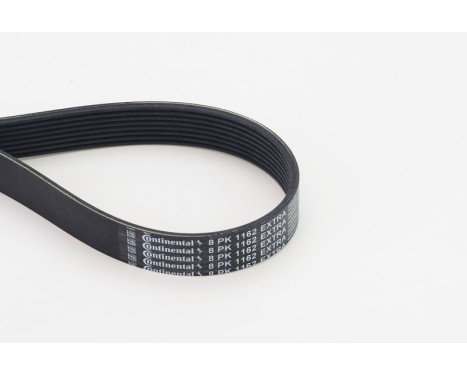 Multi-belt 8PK1162 EXTRA Contitech
