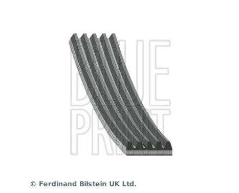 Multi-belt AD05S1236 Blue Print