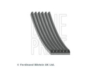 Multi-belt AD06R2138 Blue Print