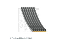 Multi-belt AD07R1065 Blue Print