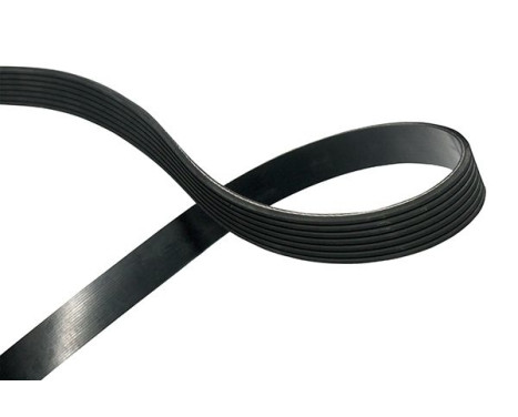 Multi-belt DMV-2083 Kavo parts