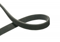 Multi-belt DMV-4576 Kavo parts