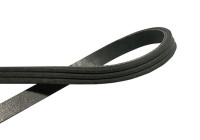 Multi-belt DMV-6564 Kavo parts