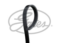 Multi-belt K040274RPM Gates