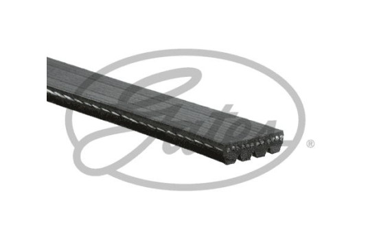 Multi-belt K040440RPM Gates, Image 2