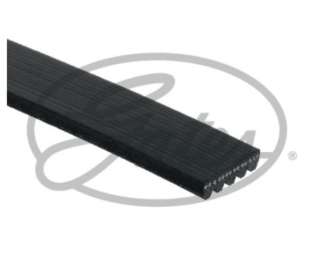 Multi-belt K050590RPM Gates, Image 2