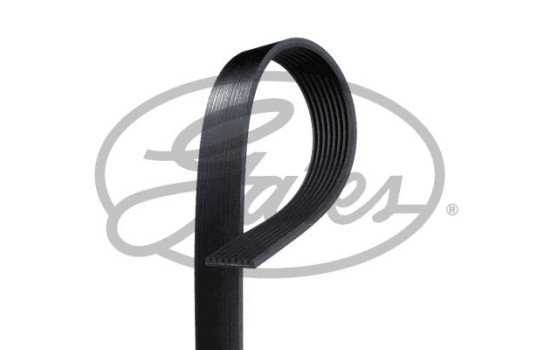 Multi-belt K080507RPM Gates