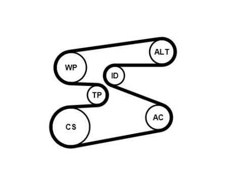 Multi-belt set BMW 6PK1698K1 Contitech, Image 8