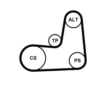 Multi-belt set NISSAN/RENAULT 5PK1135K2 Contitech, Image 2