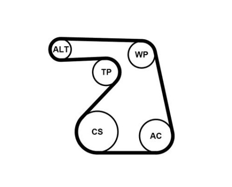 Multi-belt set + water pump 6PK1217WP1 Contitech, Image 2