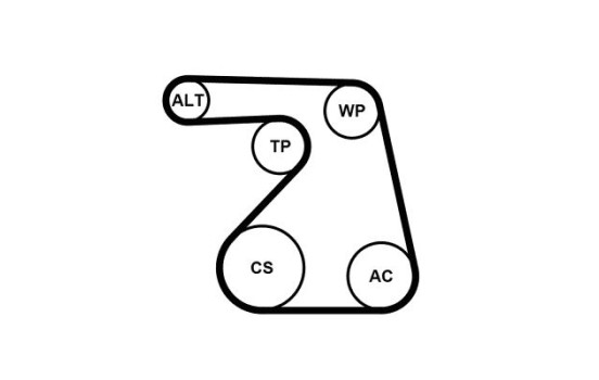 Multi-belt set + water pump 6PK1217WP1 Contitech, Image 2
