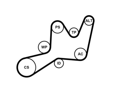 Multi-belt set + water pump 6PK1605WP1 Contitech, Image 3