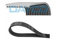 Multi-belt