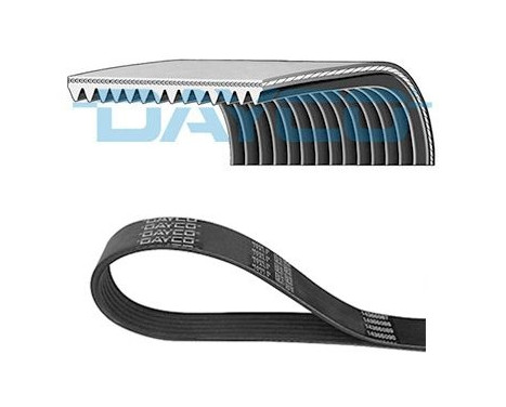 Multi-belt