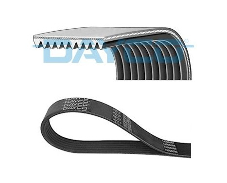 Multi-belt