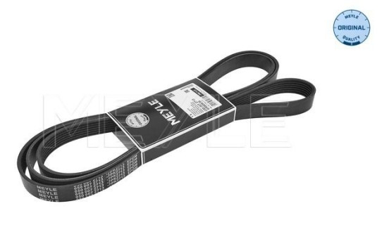 Multi-belt