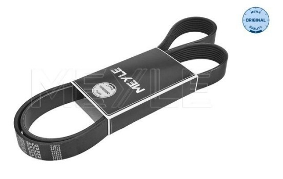 Multi-belt, Image 2
