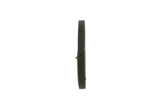 Multi-belt, Image 4