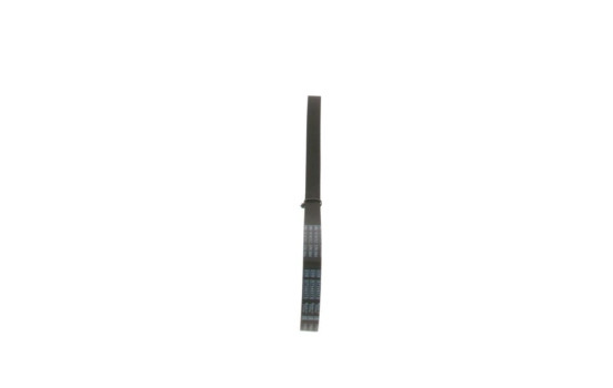 Multi-belt, Image 4