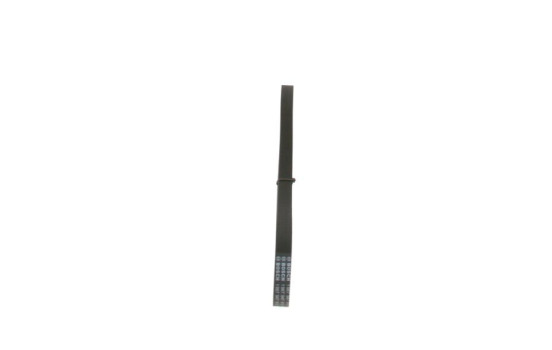 Multi-belt, Image 2