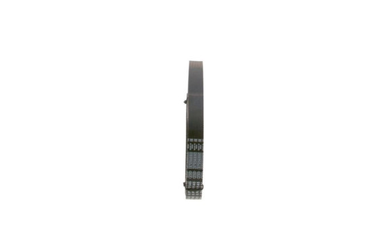 Multi-belt, Image 4