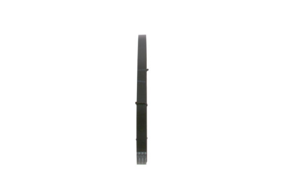 Multi-belt, Image 4