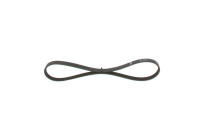 Multi-belt