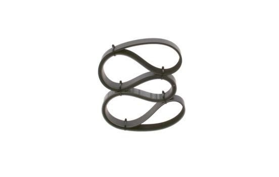 Multi-belt