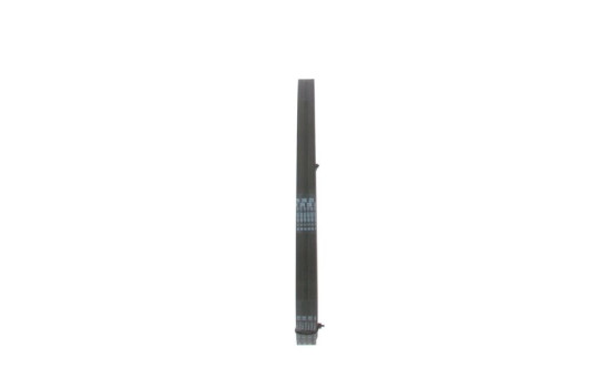 Multi-belt, Image 4
