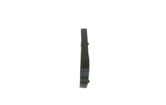 Multi-belt, Image 4
