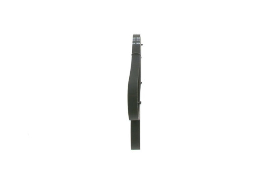 Multi-belt, Image 2