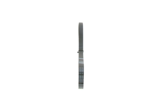 Multi-belt, Image 4