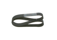 Multi-belt