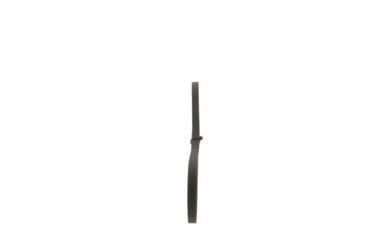 Multi-belt, Image 4