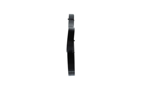 Multi-belt, Image 4