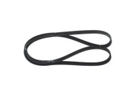 Multi-belt