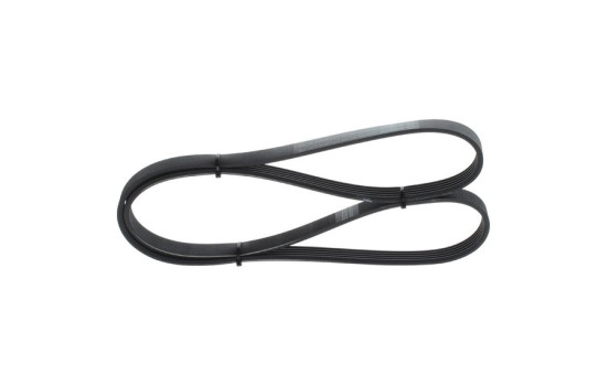 Multi-belt